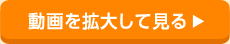 動画を拡大して見る